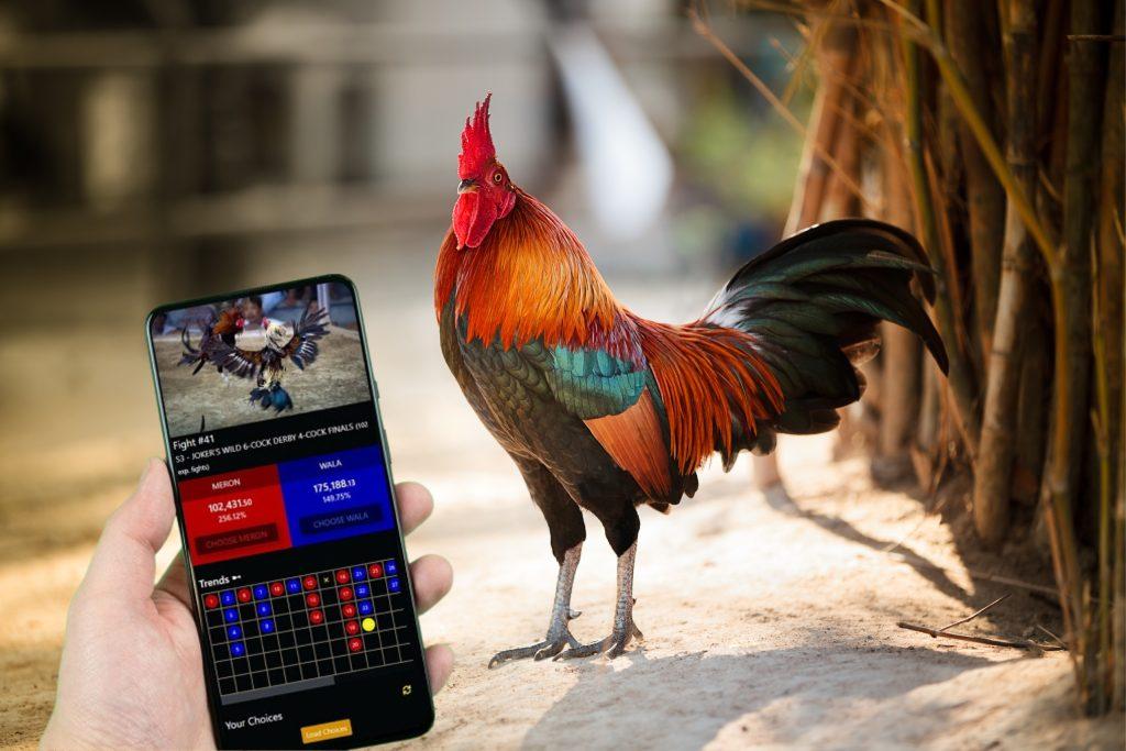 Link xem bóng đá hôm nay cập nhật mới nhất cho người hâm mộ