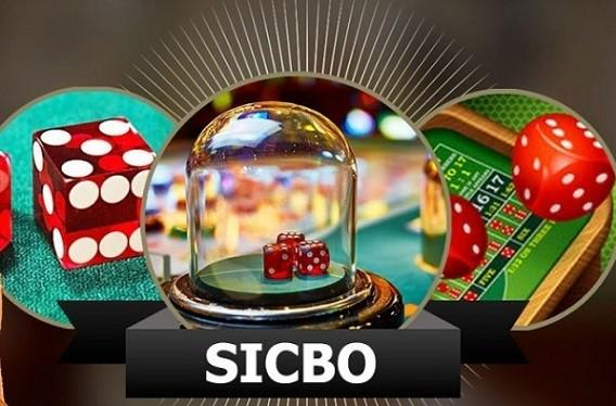 Khám phá Siêu Sao World Cup và trải nghiệm cá cược đỉnh cao cùng Siêu Sao World Cup