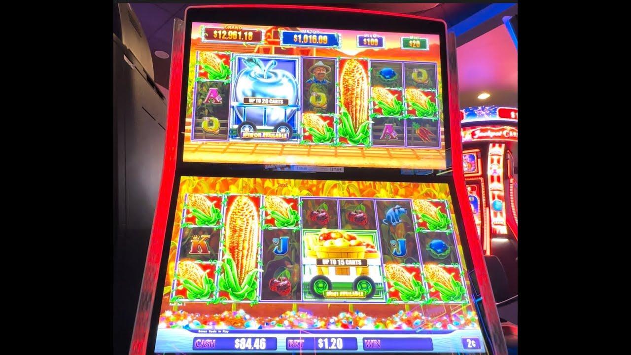 Khám phá game vui co với nhiều trò chơi hấp dẫn tại game vui co hot nhất hiện nay
